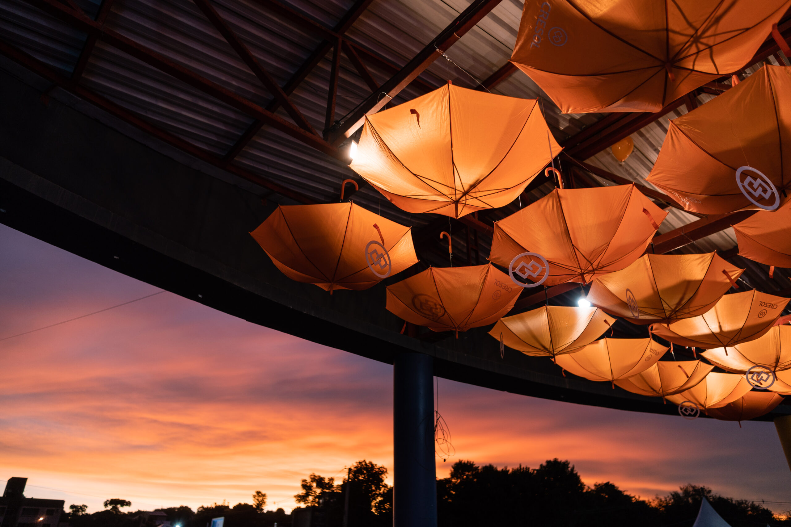 Expobel-2024-dia-09-0992